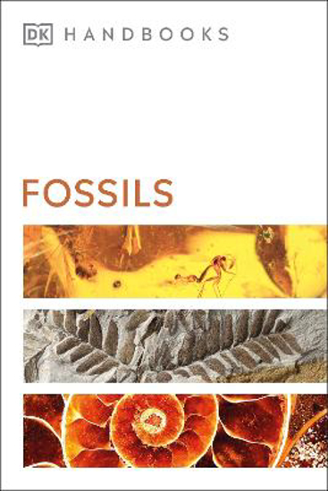 Picture of Fossils