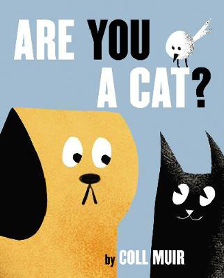 Picture of Are You a Cat?