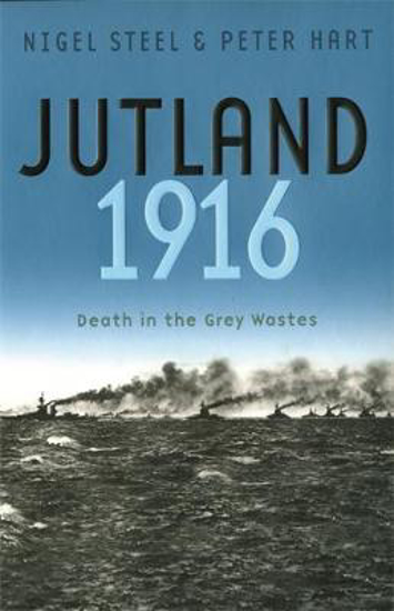 Picture of Jutland, 1916: Death in the Grey Wastes