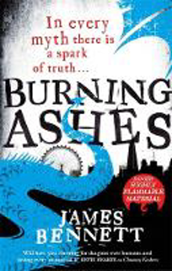 Picture of Burning Ashes: A Ben Garston Novel