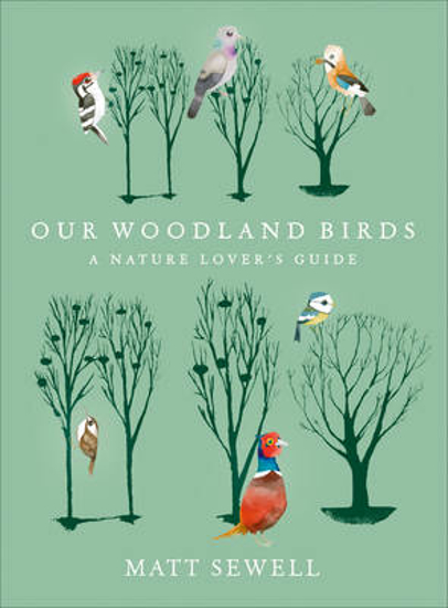 Picture of Our Woodland Birds