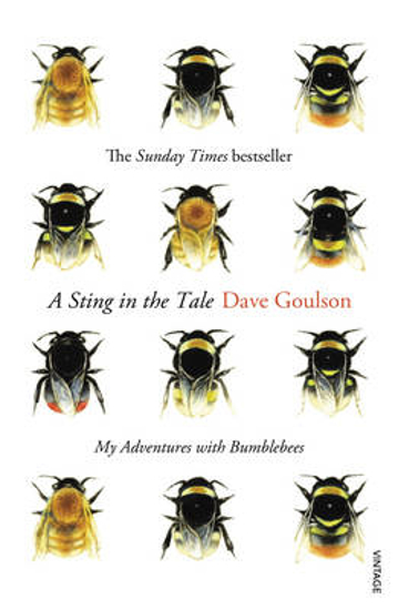 Picture of A Sting in the Tale: My Adventures with Bumblebees