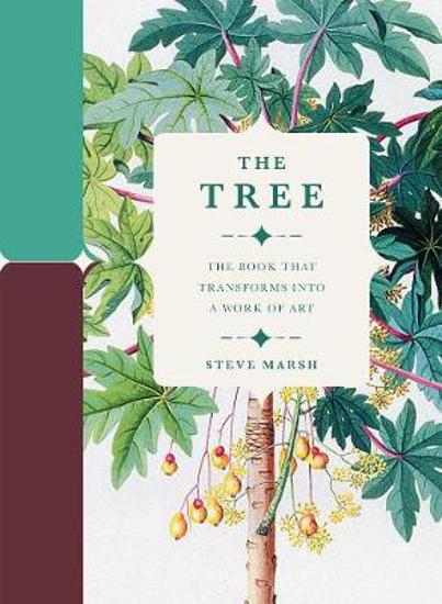 Picture of The Tree: The Book that Transforms into a Work of Art