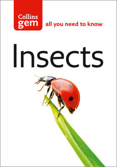 Picture of Collins Gem Insects
