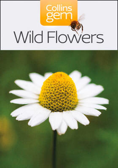 Picture of Collins Gem Wild Flowers