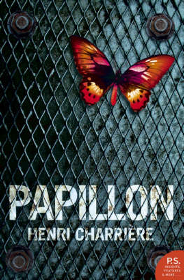 Picture of Papillon