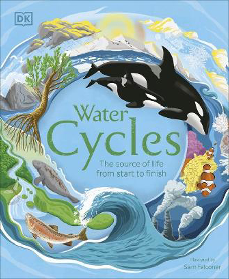 Picture of Water Cycles