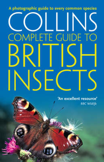 Picture of British Insects: A photographic guide to every common species (Collins Complete Guide)