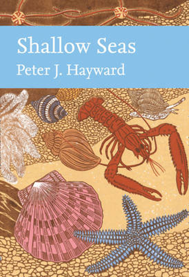 Picture of Shallow Seas (Collins New Naturalist Library, Book 131)