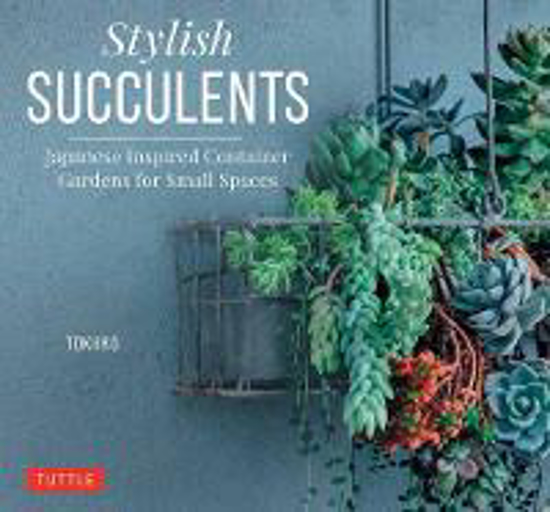 Picture of Stylish Succulents