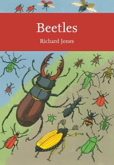 Picture of Beetles (Collins New Naturalist Library, Book 136)