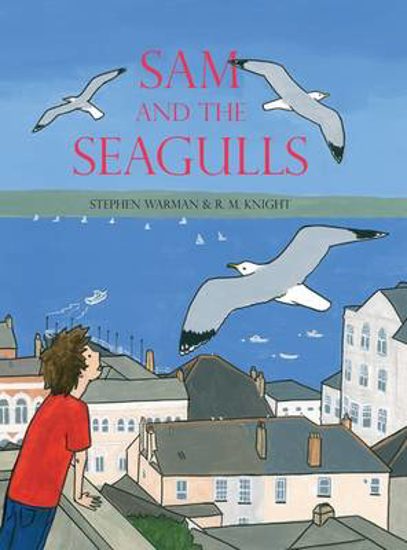 Picture of Sam and the Seagulls
