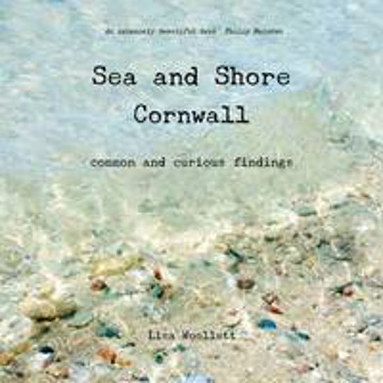 Picture of Sea and Shore Cornwall: Common and Curious Findings