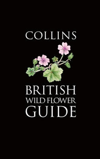 Picture of Collins British Wild Flower Guide (Collins Pocket Guide)