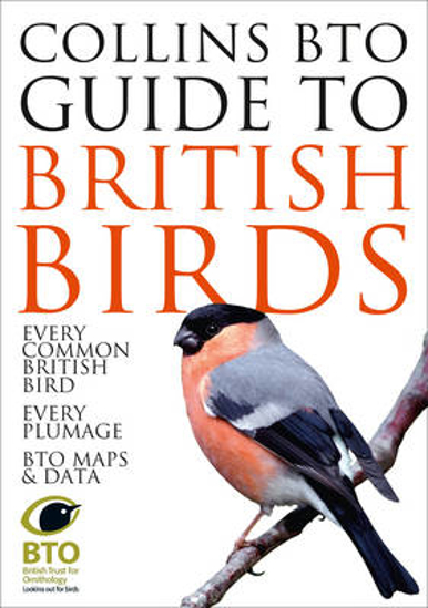 Picture of Collins BTO Guide to British Birds
