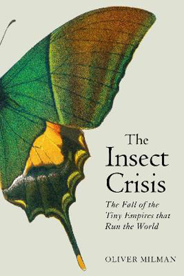 Picture of The Insect Crisis: The Fall of the Tiny Empires that Run the World