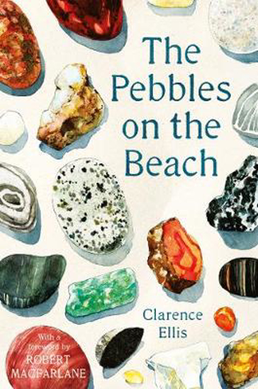 Picture of The Pebbles on the Beach