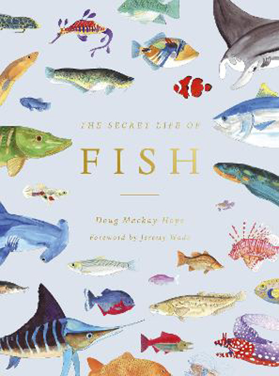 Picture of The Secret Life of Fish: The Astonishing Truth about our Aquatic Cousins