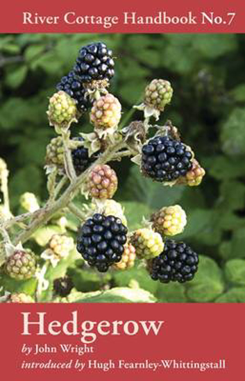 Picture of River Cottage Handbook 7: Hedgerow