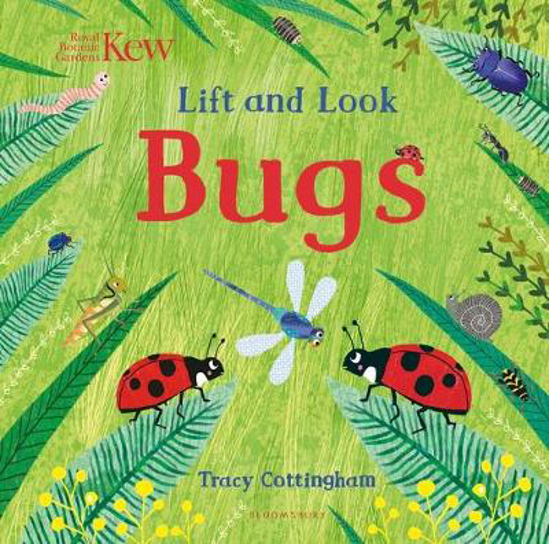 Picture of Kew: Lift and Look Bugs