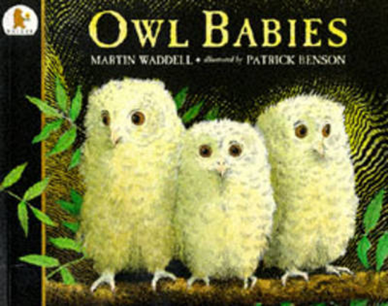 Picture of Owl Babies