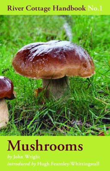 Picture of River Cottage Handbook 1: Mushrooms