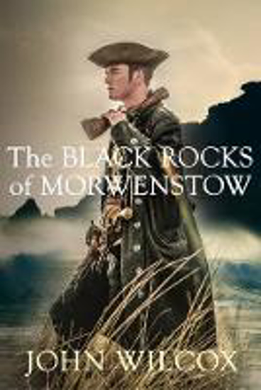 Picture of The Black Rocks of Morwenstow