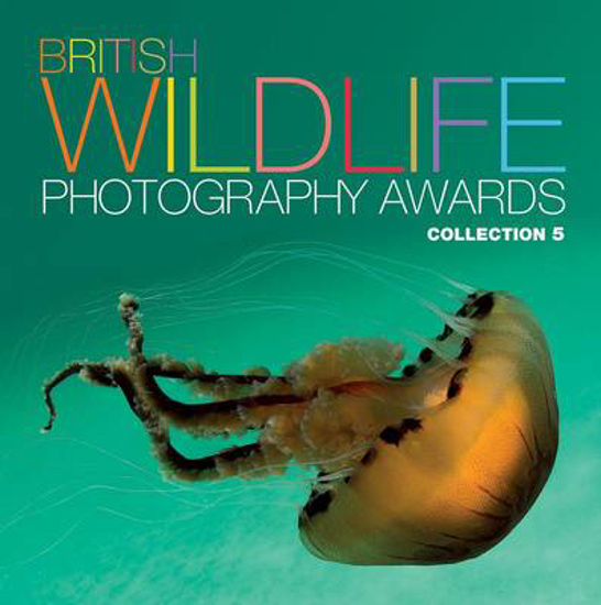 Picture of British Wildlife Photography Awards: Collection 5: Collection 5