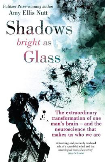 Picture of Shadows Bright As Glass: The Extraordinary Transformation of One Man's Brain - and the Neuroscience that Makes Us Who We Are