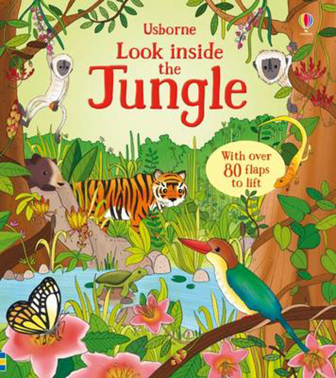 Picture of Look Inside the Jungle