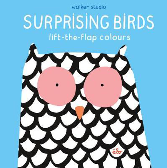 Picture of Surprising Birds: Lift-the-Flap Colours