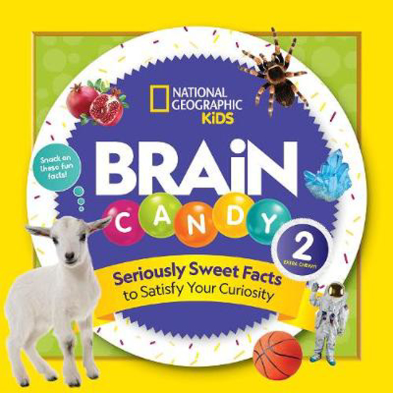 Picture of Brain Candy 2