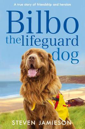 Picture of Bilbo the Lifeguard Dog