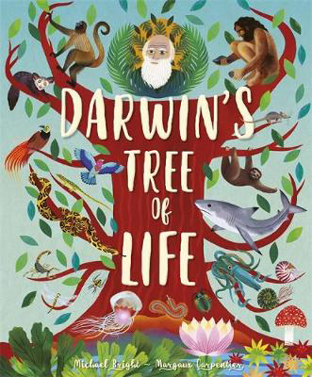 Picture of Darwin's Tree of Life