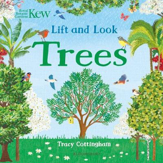 Picture of Kew: Lift and Look Trees