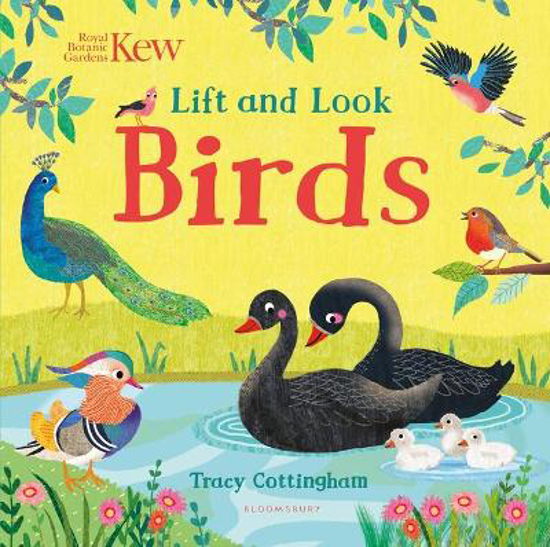 Picture of Kew: Lift and Look Birds