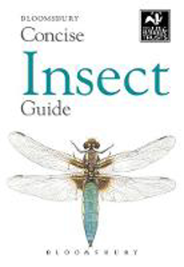 Picture of Concise Insect Guide