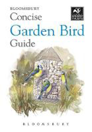 Picture of Concise Garden Bird Guide