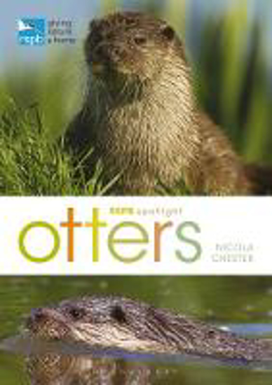 Picture of RSPB Spotlight: Otters