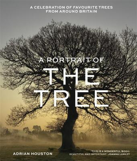 Picture of A Portrait of the Tree: A celebration of favourite trees from around Britain