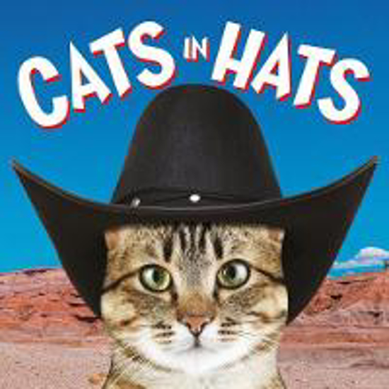 Picture of Cats in Hats