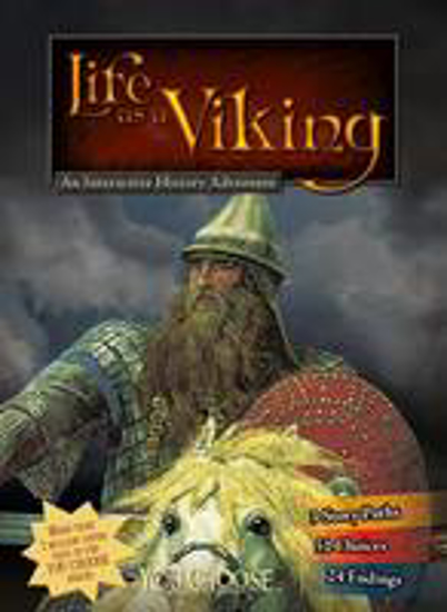 Picture of Life as a Viking