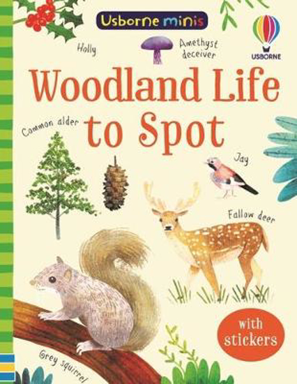 Picture of Woodland Life to Spot