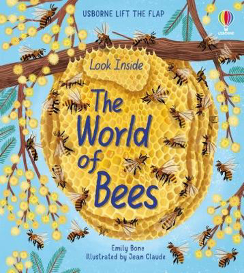 Picture of Look Inside: The World of Bees