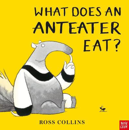 Picture of What Does An Anteater Eat?