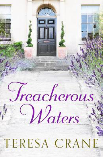 Picture of Treacherous Waters: A love story full of twists