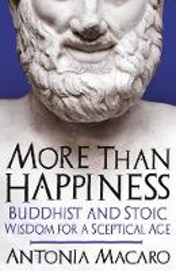 Picture of More Than Happiness: Buddhist and Stoic Wisdom for a Sceptical Age
