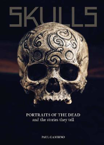 Picture of Skulls: Portraits of the Dead and the Stories They Tell