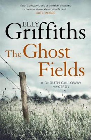 Picture of The Ghost Fields