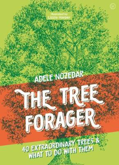 Picture of The Tree Forager: 40 Extraordinary Trees & What to Do with Them